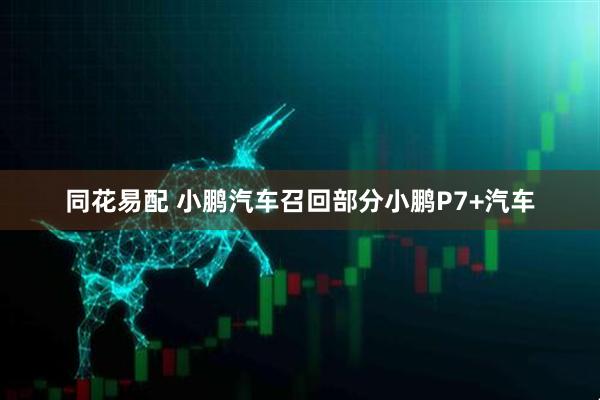 同花易配 小鹏汽车召回部分小鹏P7+汽车