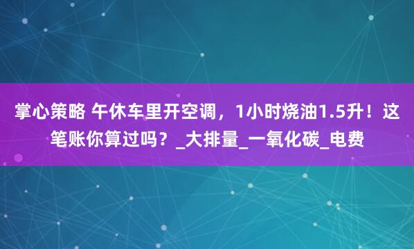 掌心策略 午休车里开空调，1小时烧油1.5升！这笔账你算过吗？_大排量_一氧化碳_电费