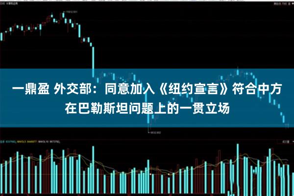 一鼎盈 外交部：同意加入《纽约宣言》符合中方在巴勒斯坦问题上的一贯立场