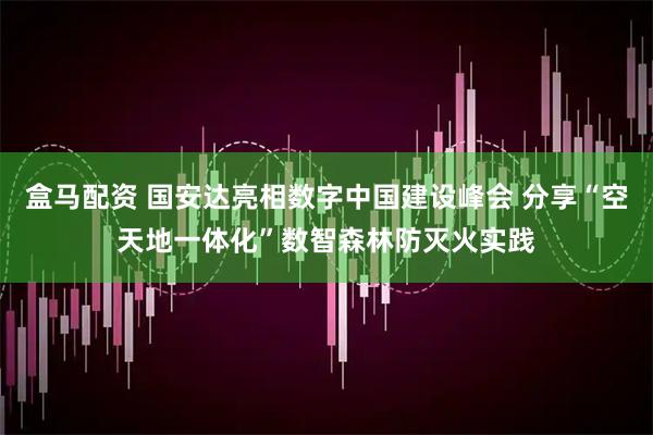 盒马配资 国安达亮相数字中国建设峰会 分享“空天地一体化”数智森林防灭火实践