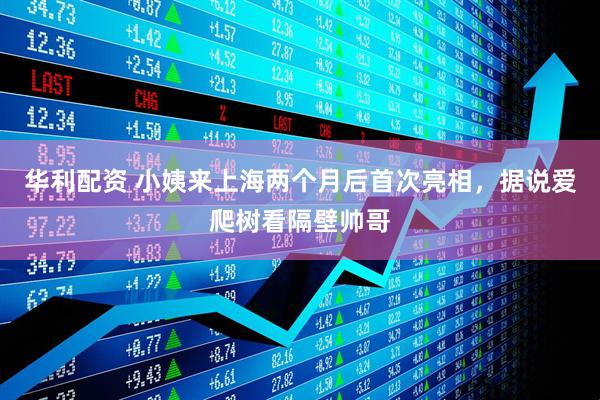 华利配资 小姨来上海两个月后首次亮相，据说爱爬树看隔壁帅哥